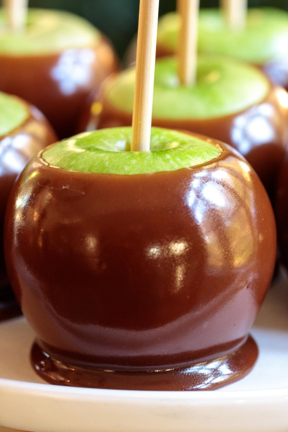 Candy Apple Sticks Bamboo Wood Caramel Apple Skewers -  Portugal